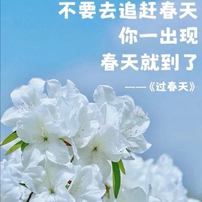 见3-17！N字头纯棉字母刺绣印花长袖T恤男女童运动风拼色圆领上衣