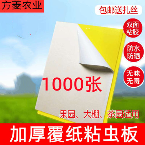 双面粘虫板诱虫板黄板蓝板灭小飞虫沾果蝇针蜂贴蓟马大棚果园茶园