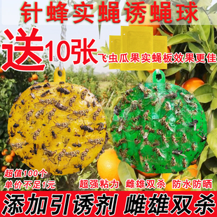 果蝇球柑橘大实蝇小飞虫针蜂马蜂粘虫球瓜果园专用诱蝇球雌雄双杀