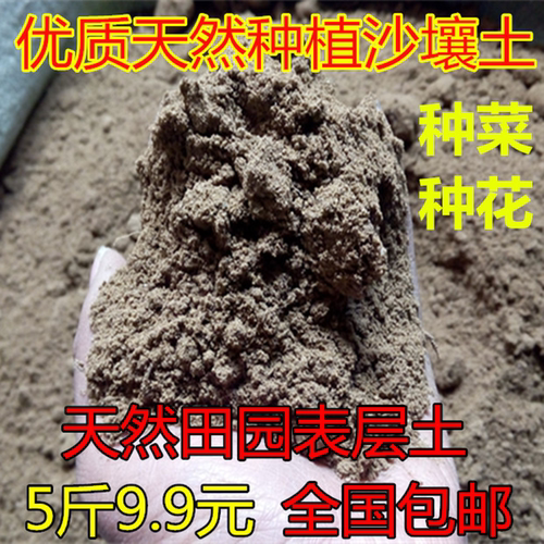 蔬菜种植沙土花卉沙壤土养花河沙