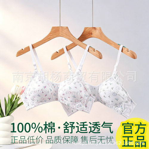 100%全棉薄款中老年人妈妈内衣无钢圈75B85B90B95B100B女士文胸罩