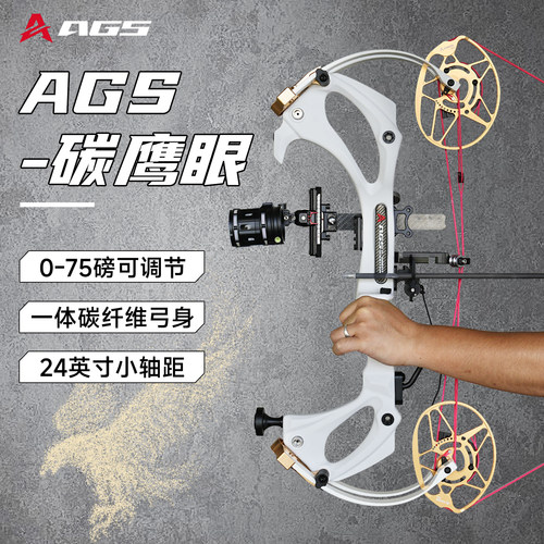 AGS碳鹰眼复合弓箭精准射击