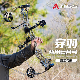 穿羽两用复合弓成年人专用高精度射箭打钢珠射击运动户外比赛弓箭