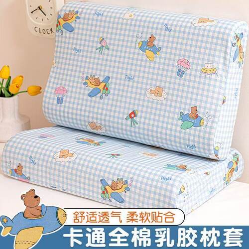 全棉乳胶枕套30x50一对装小清新儿童纯棉枕头套40x60枕芯套单个装