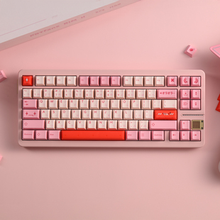 PBTfans Rim R2莉姆二次元粉色键帽pbt二色三色原厂高客制化键盘