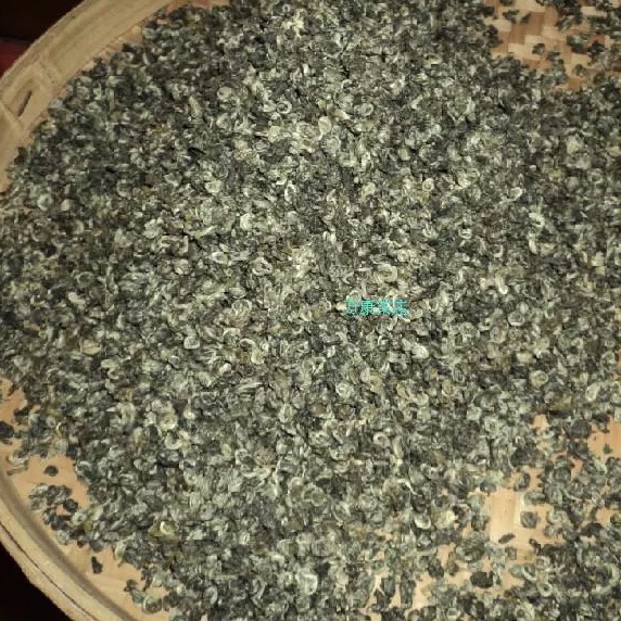 广西碧螺春味浓耐泡凌云白毫茶