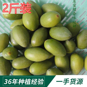 福建2斤甜青橄榄青果新鲜糯米橄榄药用去胎毒生吃炖汤小孩孕妇