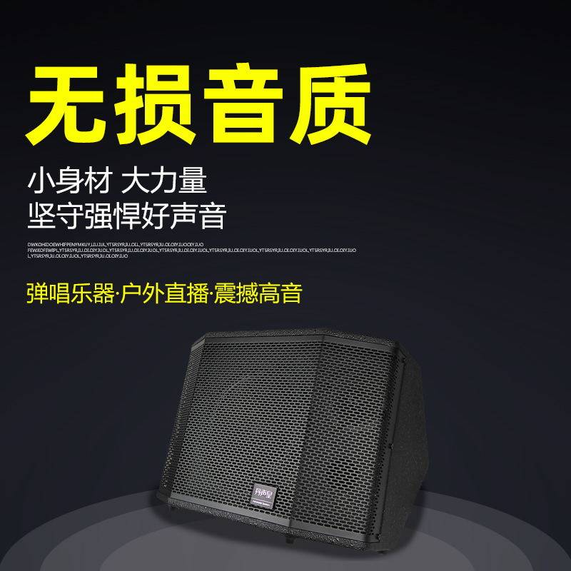 丹声皇全频低音乐器音响户外直播吉它弹唱音箱便携式·带内录功能