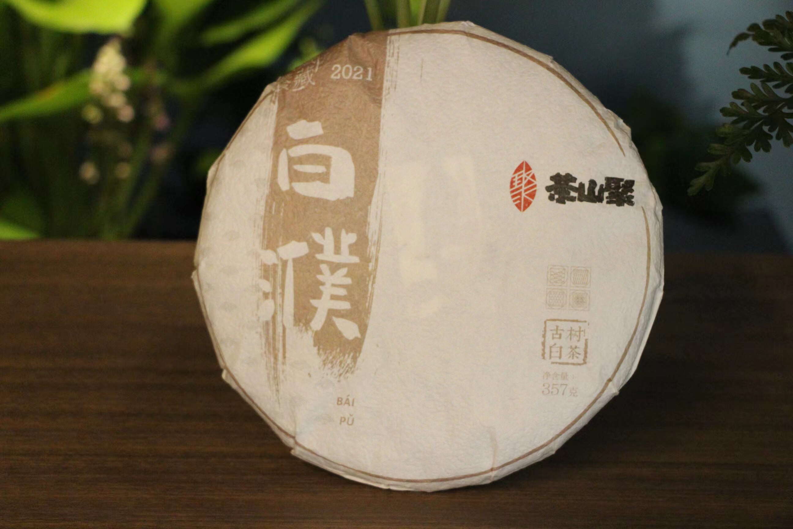 云南临沧茶山聚古树经年系列云南白茶饼茶48g灌装试喝357g饼礼盒