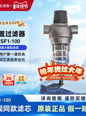 3M全屋前置6T自动反冲洗过滤器F42WM自来水管道过滤器BFS1-100
