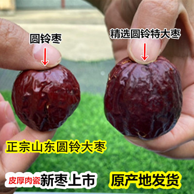 特大圆铃枣5斤紫团枣非新疆枣