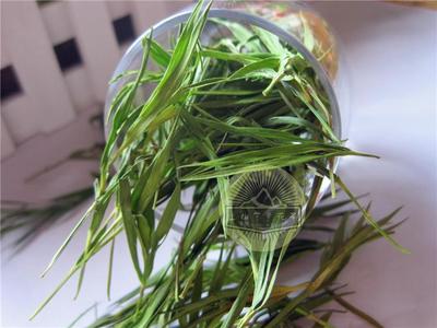 竹叶石竹优质淡竹香雅凉茶香2送1袋发三袋包邮