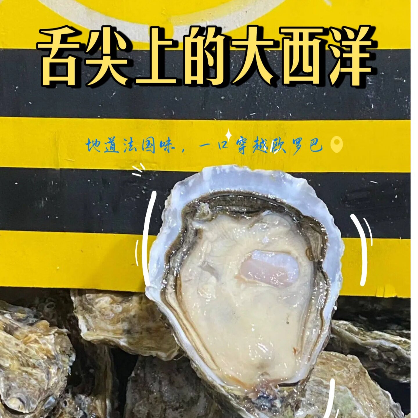 法国白露坏单包退快递上门即食