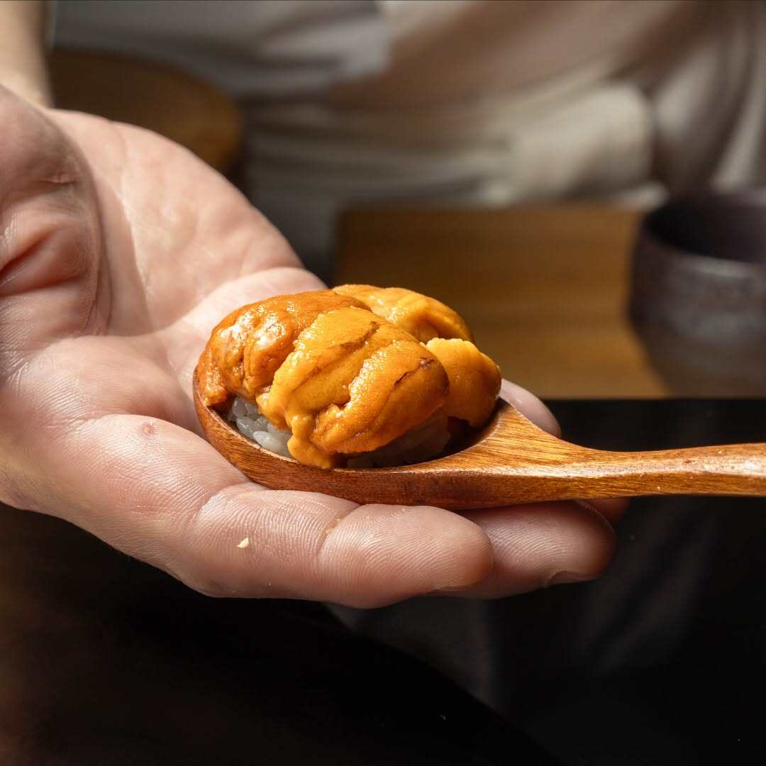 包活包邮大连大号马粪海胆鲜活日料海鲜水产刺身即食海胆炒饭250g