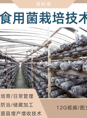 食用菌栽培技术视频教学香菇高产