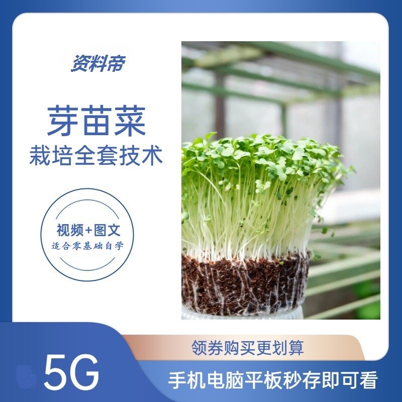芽苗菜栽培技术视频教程大棚室无土绿豆花生芽香椿苗种植培育教学