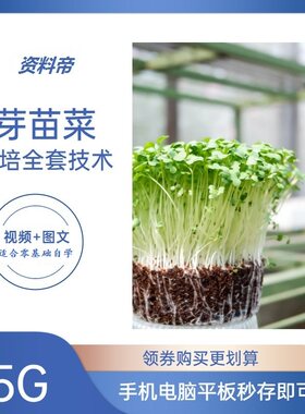 芽苗菜栽培技术视频教程大棚室无土绿豆花生芽香椿苗种植培育教学