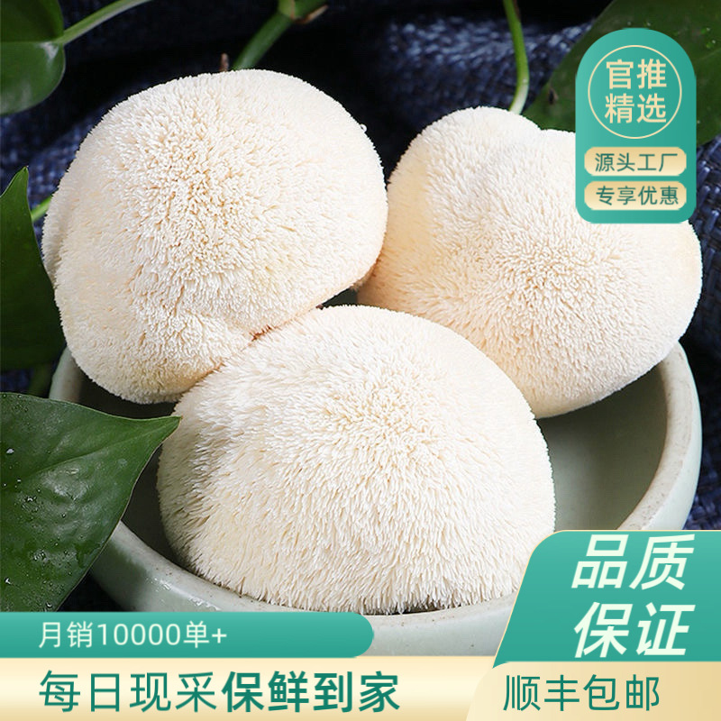 顺丰冷链云南特产猴头菇菌