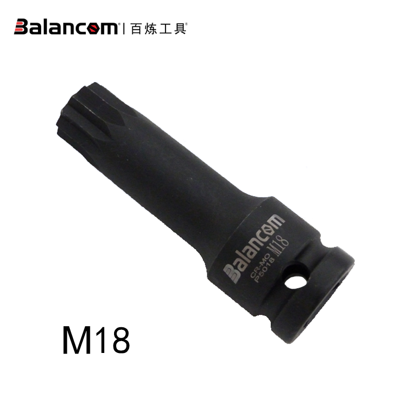 后轮轴承 速腾 迈腾T1016引擎维修工具