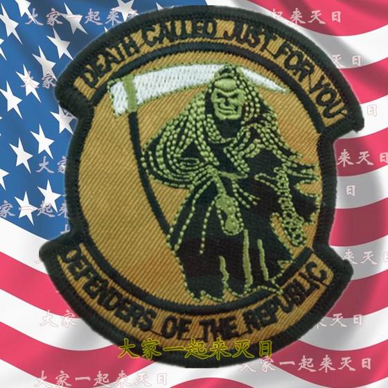徽标徽章刺绣魔术贴共和国捍卫者