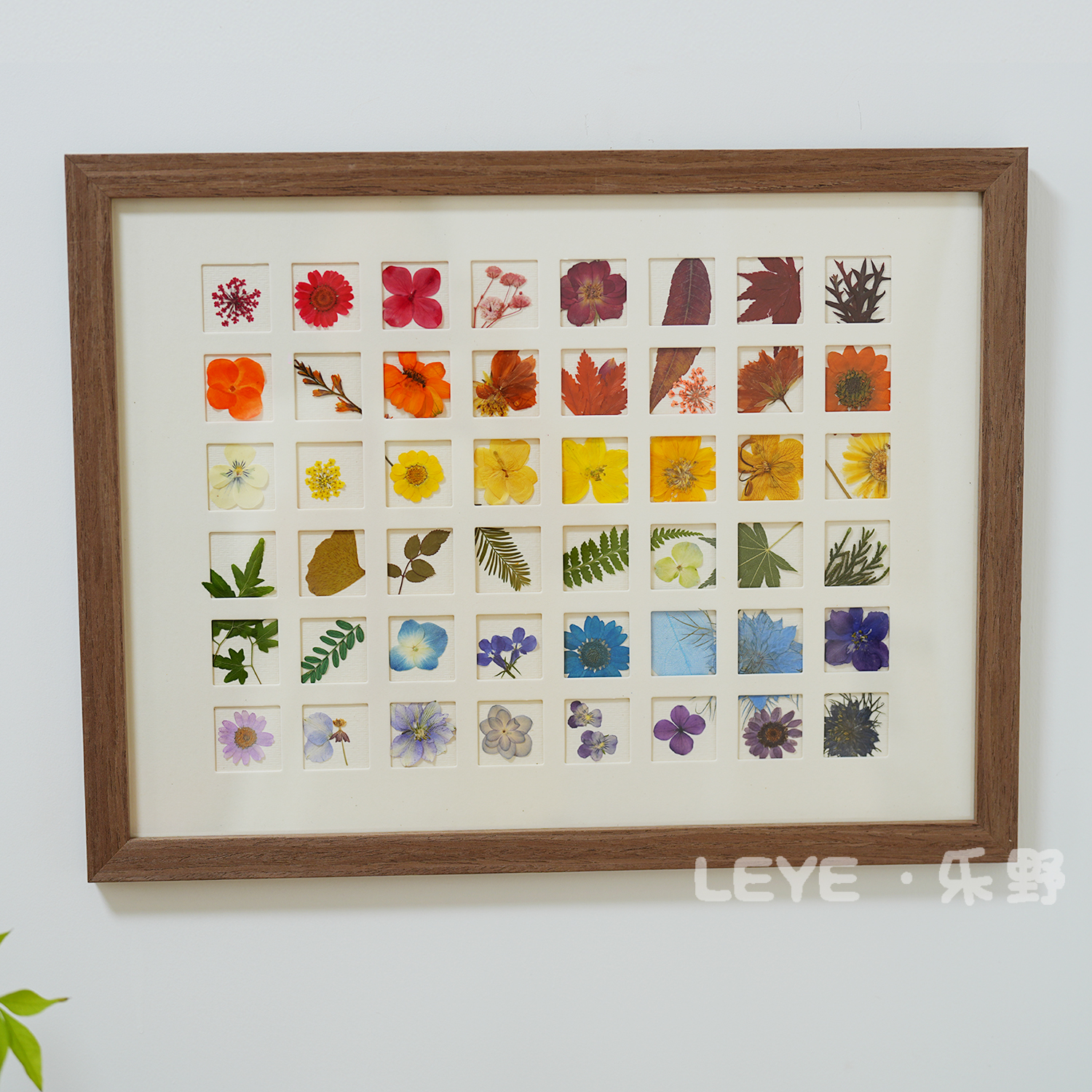 小清新压花相框标本装饰画
