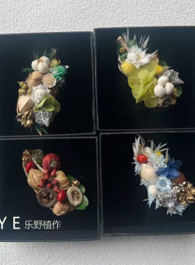 植物胸针果实永生花真花胸花