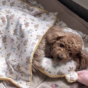 小狗狗专用小被子枕头小体泰迪比熊犬毯子毛毯狗窝垫秋冬季空调被