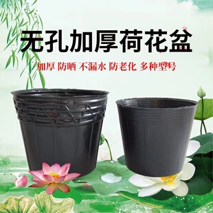 荷花营养钵加厚营养钵水生植物营养杯荷花盆保水袋40*35 30*28