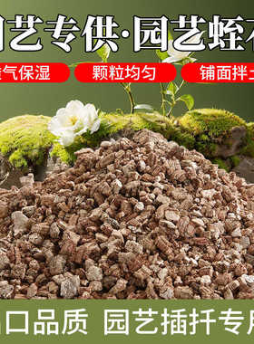 铺面蛭石拌土月季扦插育苗生根孵化养花多肉盆栽透气多肉植物适用