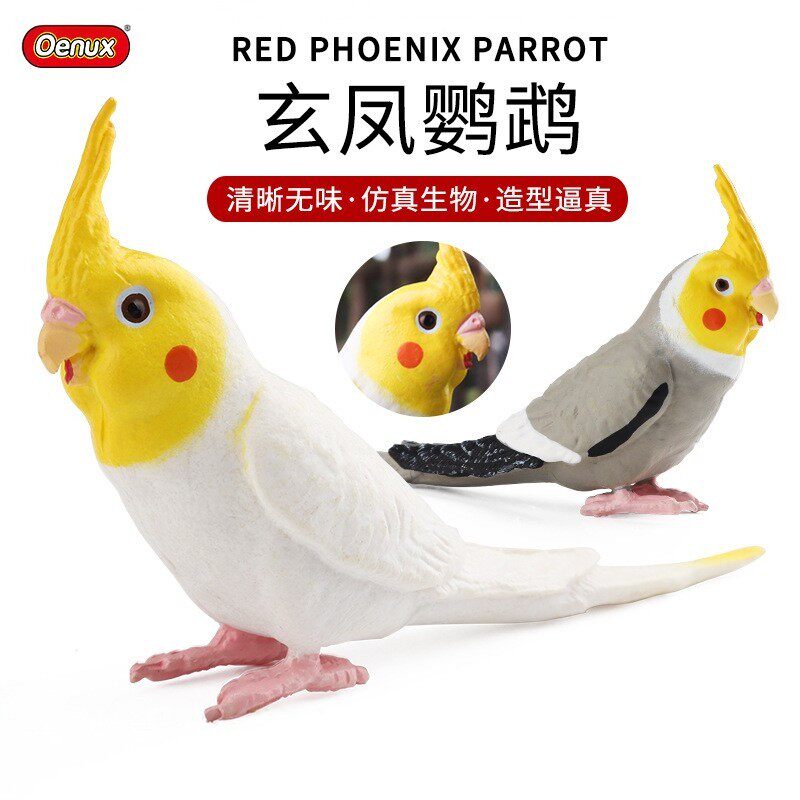儿童玩具仿真野生动物模型玄凤鹦鹉飞禽鸟类科教认知家居摆件礼品