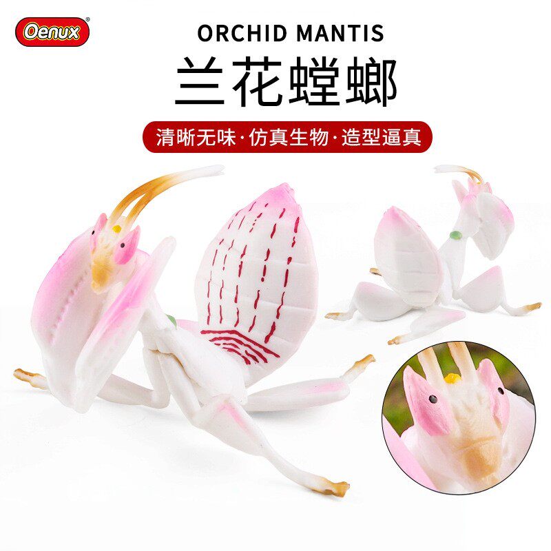 儿童玩具实心仿真昆虫动物模型兰花螳螂刀螂蚂蚱认知教具摆件手办