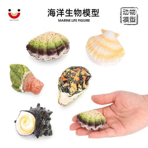 儿童认知玩具仿真海洋生物海底动物模型生蚝扇贝海螺龟足鱼缸造景