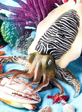 儿童认知仿真海洋生物动物模型