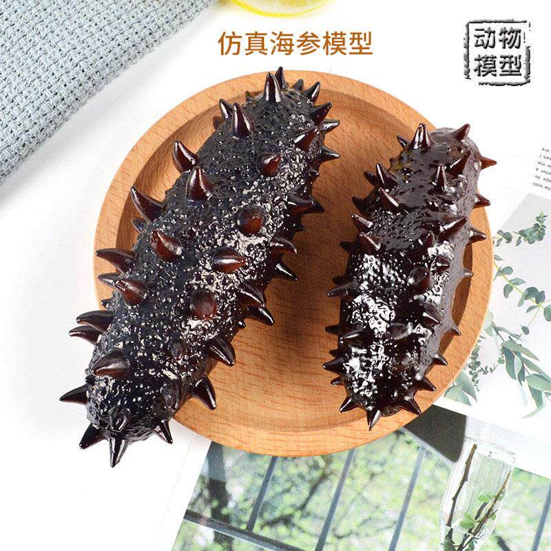 儿童玩具早教认知模型仿真海洋动物实心海参摆件海底生物科教辽参
