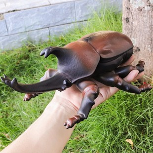 儿童玩具仿真动物模型软胶独角仙天牛昆虫宝宝认知男女孩科教礼品