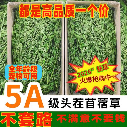 烘干2026年苜蓿草兔粮龙猫粮食
