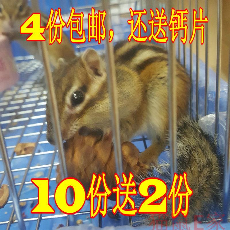 颗粒饱满空壳少松鼠粮食个头大图片