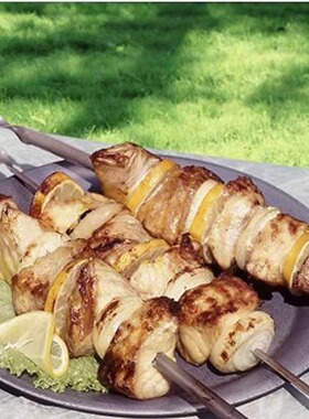 户外驴友燃气木炭烧烤炉BBQ配件专用扁烤针 木柄烤针