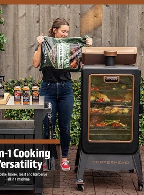 政府国家补贴美国户外PIT BOSS 烧烤炉果木烟熏炉COPPERHEAD