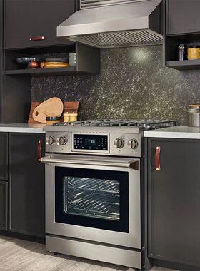 政府补贴thorkitchen美式开放厨房30英寸智能温控燃气多眼烤箱灶