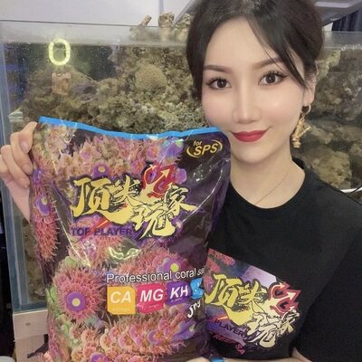 正品玩家珊瑚海盐软体硬骨养殖