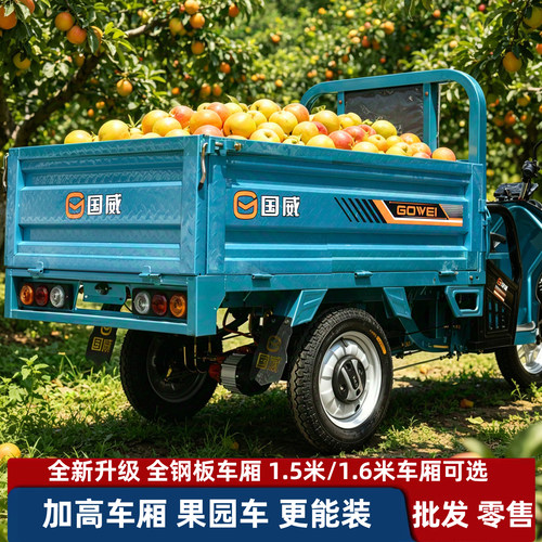 国威电动三轮车加高车厢电动货运载货电三轮60V拉货果园车农用1.6