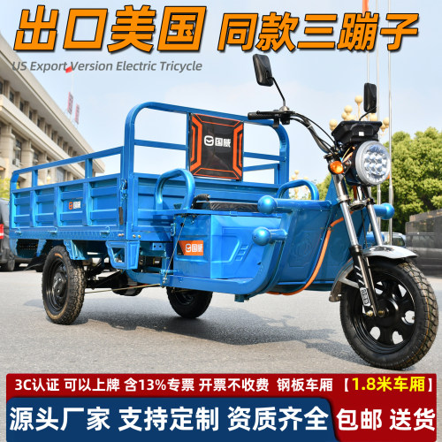 国威货运三轮车外贸出口电动车货车载重电瓶车拉货爬坡新款两用