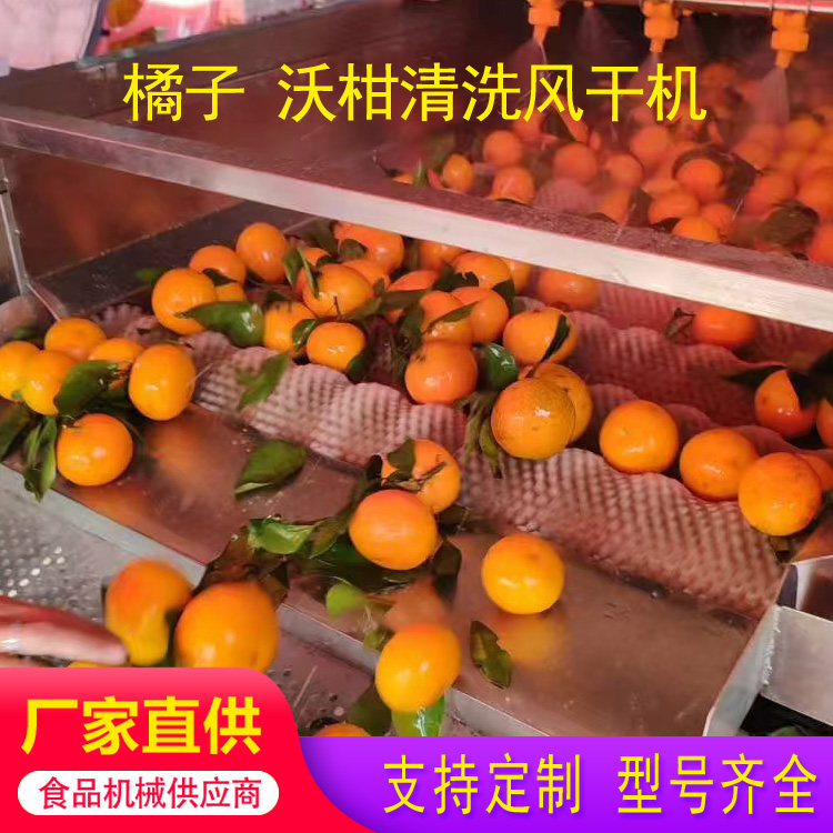 柑橘脐橙沃柑清洗毛刷喷淋机批发