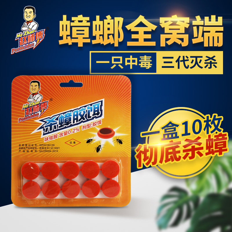 赵师傅杀蟑方便贴蟑螂药全窝端灭蟑螂粉屋粘板捕捉器杀蟑胶饵10粒