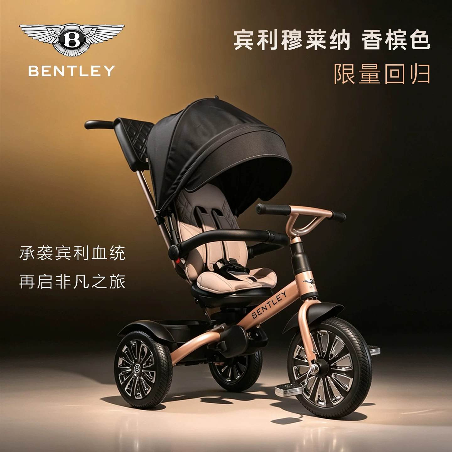 【陈震同学推荐】宾利儿童三轮车