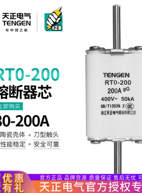 TENGEN天正电气RTO-200体熔断器熔芯RT0-200A陶瓷方管保险丝160A