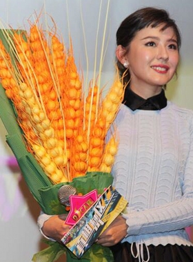 仿真绿色大麦穗干枝黄色稻谷穗花瓶插花田园单只家装落地橱窗装饰