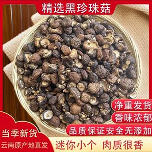 特惠云南丽江特产黑珍珠菇小香菇干货金钱菇剪脚肉厚干冬菇散装