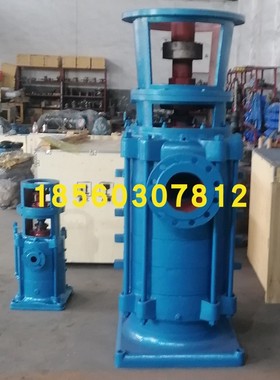 200DLR280-35x2x3x4x5x6x7x8立式多级离心泵 200DLR热水泵